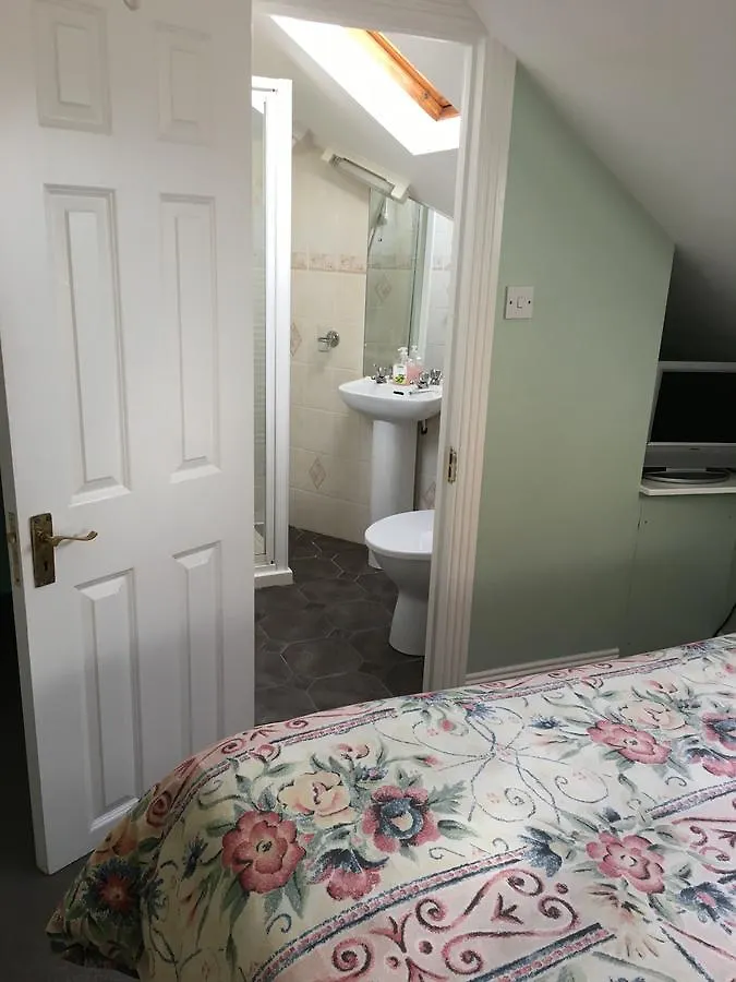 Sycamore House B&B Dublin Bed & Breakfast