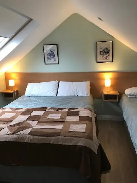 Sycamore House B&B Dublin 4*,